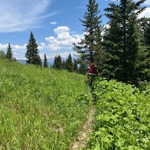 Meet your Posher, Alison